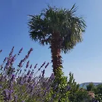 Maslina Appartamento