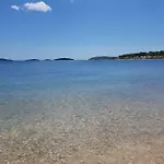 Maslina * Šibenik