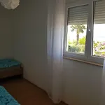 Maslina * Šibenik