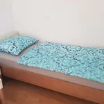 Maslina * Šibenik