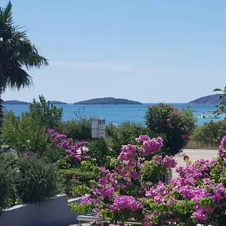 Maslina Sibenik