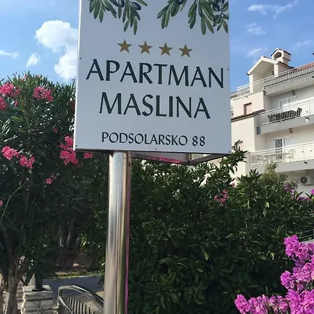 Maslina * Sibenik