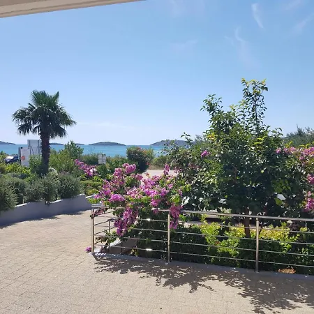Maslina Sibenik