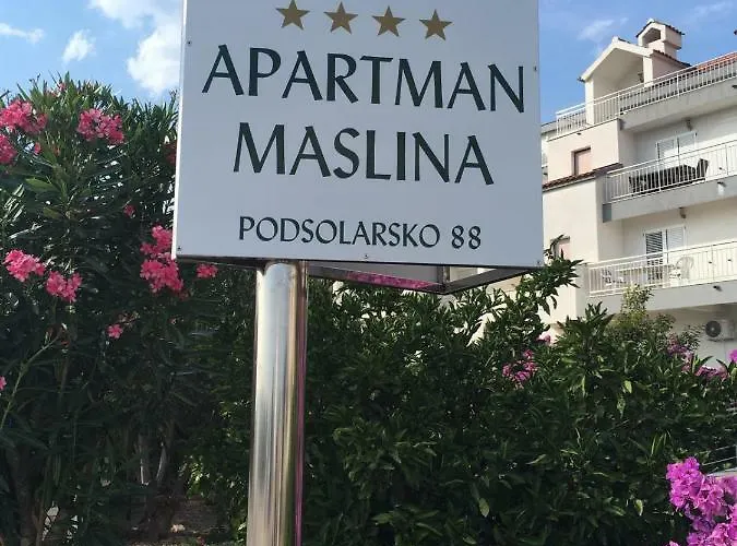Maslina * Šibenik